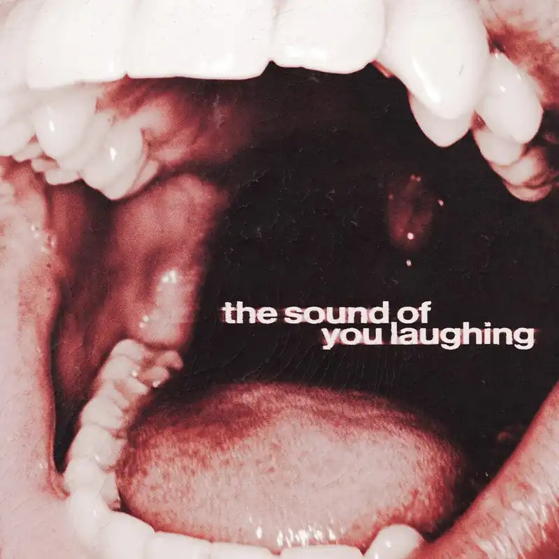 Thxsomch - Sound Of You Laughing (LP)– Josey Records Clearance