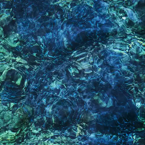 Editor’s Pick Ichiko Aoba - Luminescent Creatures [LP]