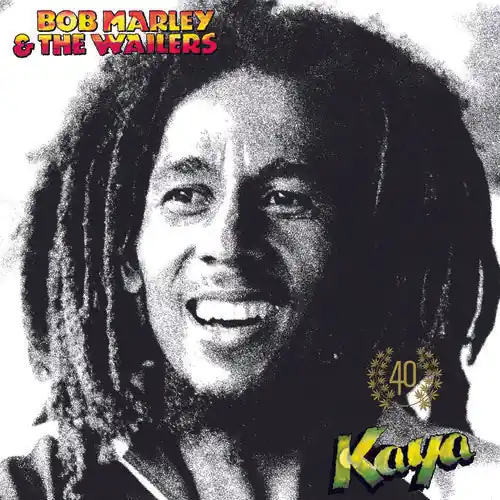Bob Marley & The Wailers - Kaya 40 (2LP)– Josey Records New Release