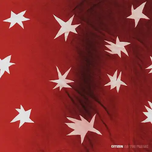 Low Price Citizen - As You Please [CD]