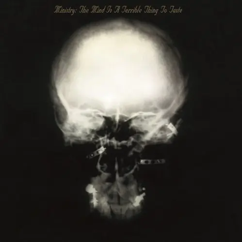 THE MIND IS A TERRIBLE THING TO TASTE Limited 180gram Audiophile LP Wholesale