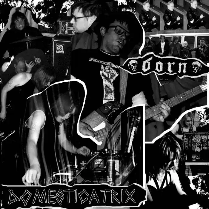 Cheap B.O.R.N. / Domesticatrix - Split [7"]