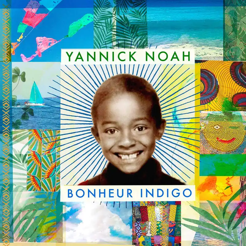 Buy Direct Bonheur Indigo Limited Vinyl LP