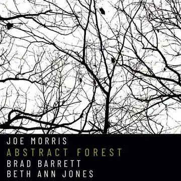 Order Now MORRIS,JOE ABSTRACT FOREST - CD