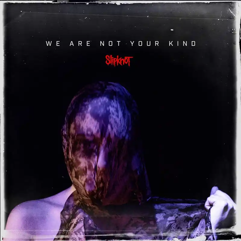 We Are Not Your Kind Limited 180gram Vinyl 2LP Set Grab Now