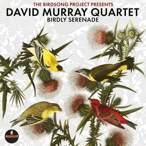 Mega Sale MURRAY,DAVID BIRDLY SERENADE - LP
