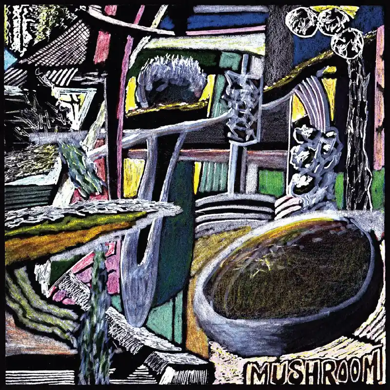 Worldwide Shipping MUSHROOM MESSAGES FROM THE SPLIFF BUNKER - LP