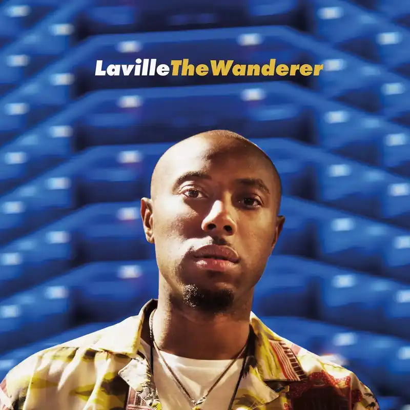 Money Back Guarantee The Wanderer Limited Vinyl LP