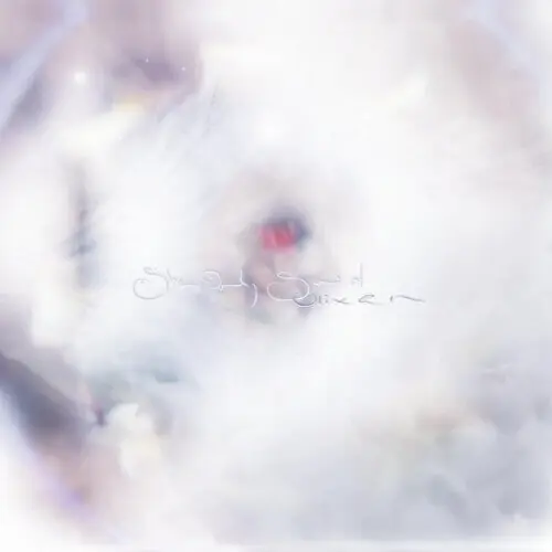 Exclusive Offer Glixen - She Only Said [LP - Fruit Punch]