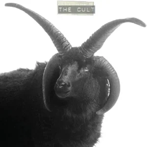 Cult, The - The Cult [2xLP] Get Yours