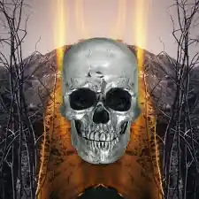 Affordable NEVERLY BOYS DARK SIDE OF EVERYTHING - CD