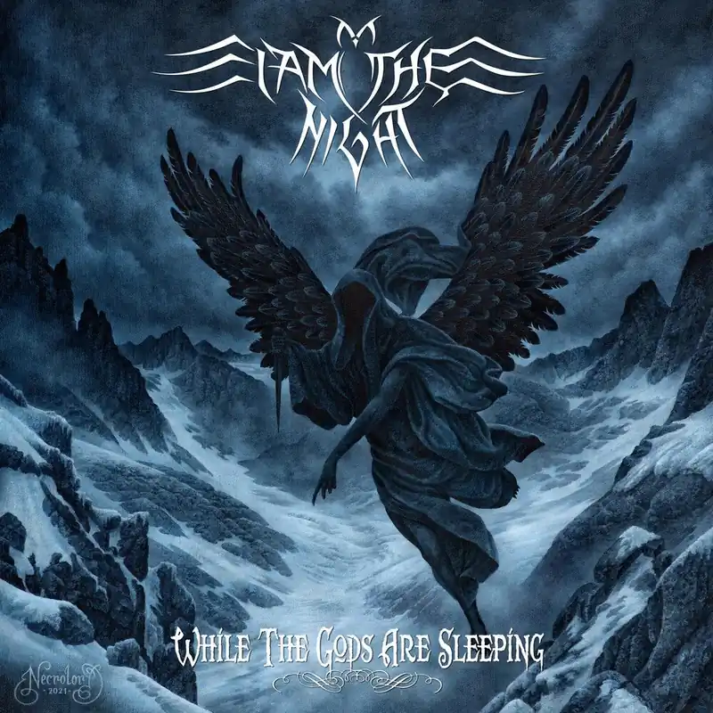 Best Choice I Am the Night - While The Gods Are Asleep (LP)– Josey Records
