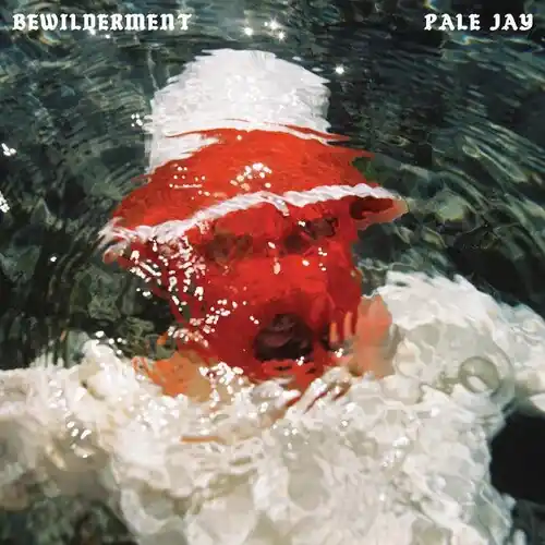 Popular Pale Jay - Bewilderment [LP - Seafoam Green]