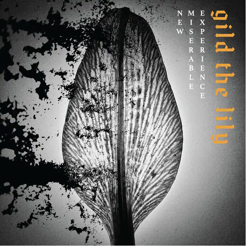 Affordable [PRE-ORDER] New Miserable Experience - Gild The Lily (LP)– Josey Records