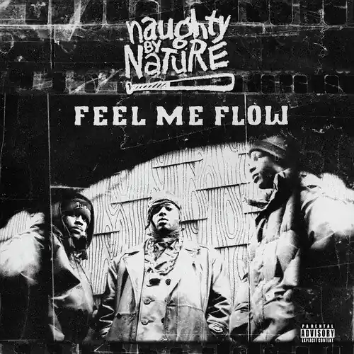 Bargain NAUGHTY BY NATURE FEEL ME FLOW - 7"