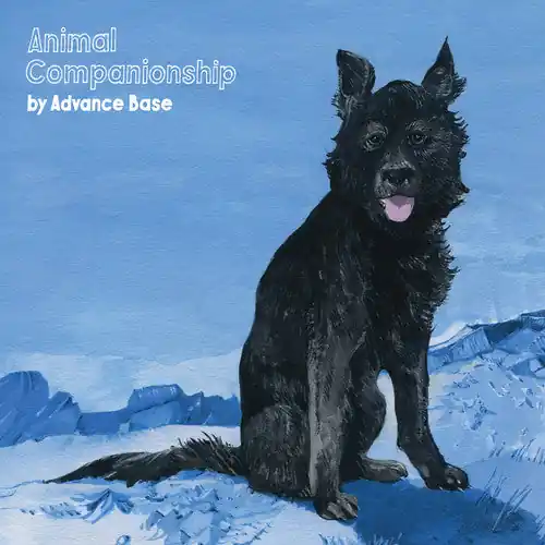 Advance Base - Animal Companionship (LP)– Josey Records While Supplies Last