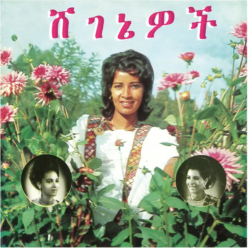 Super Sale Aselefech Ashine - Beauties (LP)– Josey Records