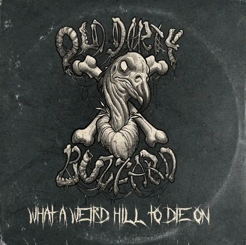 OLD DIRTY BUZZARD WHAT A WEIRD HILL TO DIE ON - LP Hassle-Free Returns