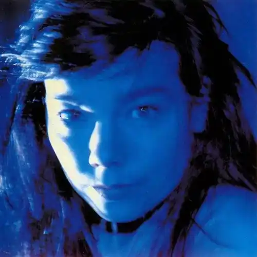 Bjork - Telegram [2xLP] Budget