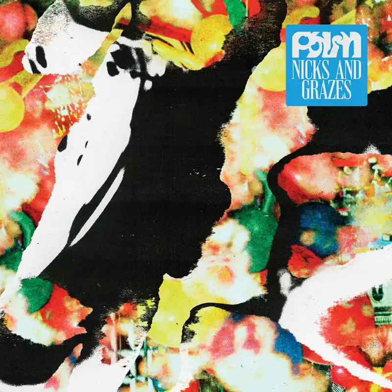 PALM NICK AND GRAZES - CD Fast Shipping