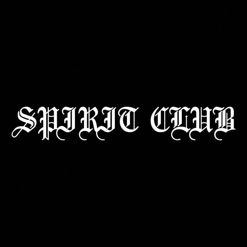 Spirit Club - Room to Run (LP)– Josey Records Express Delivery