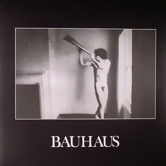 Bauhaus - In The Flat Field [LP] Top Rated