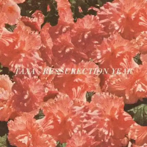 Taxa - Resurrection Year (LP)– Josey Records Bargain