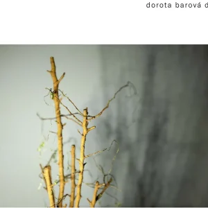 Barova / Chyska / Klapste - Dotyk (LP)– Josey Records Secure Checkout