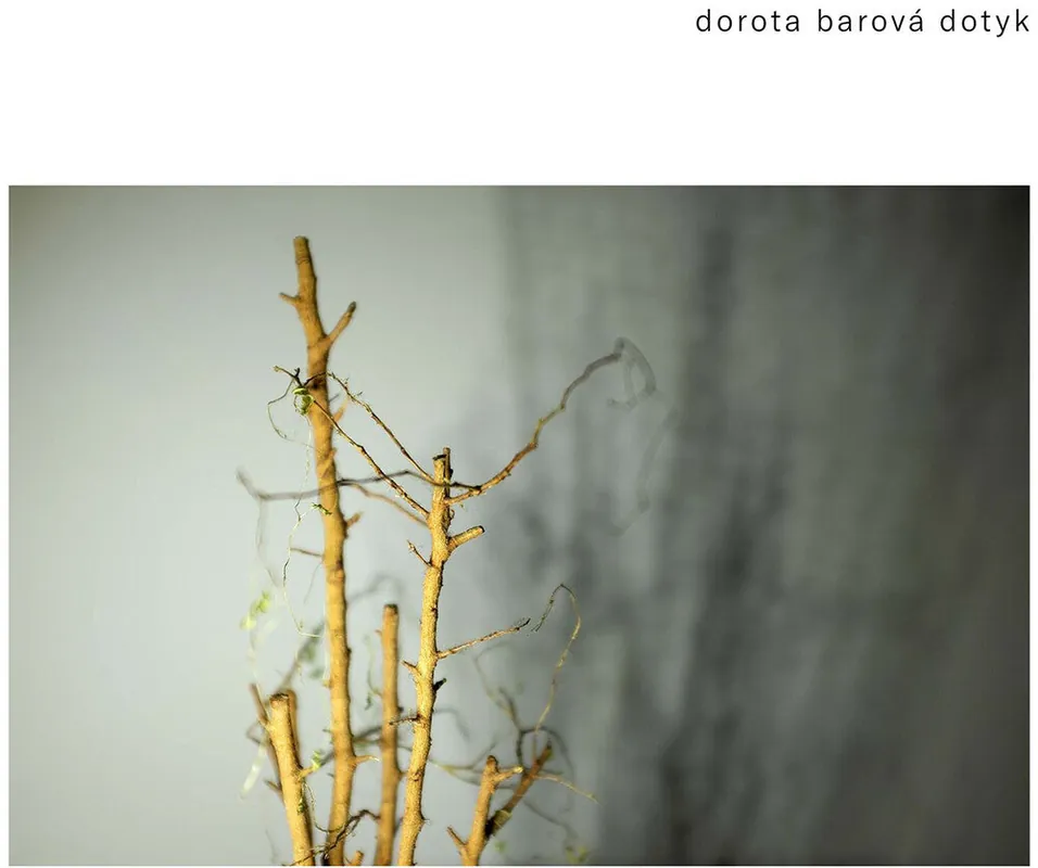 Barova / Chyska / Klapste - Dotyk (LP)– Josey Records Secure Checkout