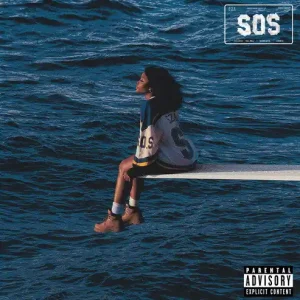 SOS (2LP) Top Pick