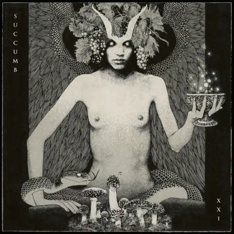 Time-Limited Succumb - Xxi (LP)– Josey Records
