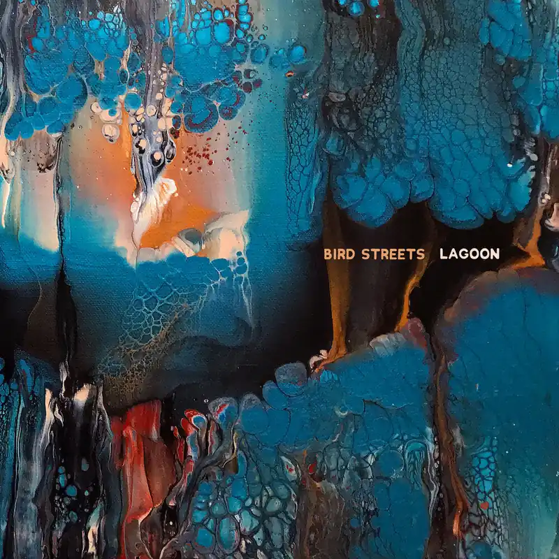 Bird Streets - Lagoon (LP)– Josey Records Fresh Stock
