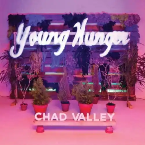Shop Now Chad Valley - Young Hunger (LP)– Josey Records