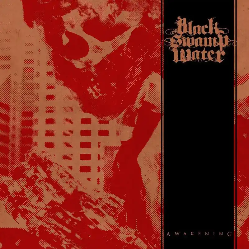 Black Swamp Water - Awakening (LP)– Josey Records Exclusive Offer