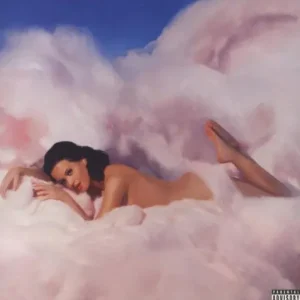 Teenage Dream Top Pick