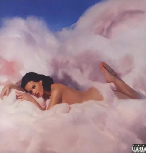 Teenage Dream Top Pick