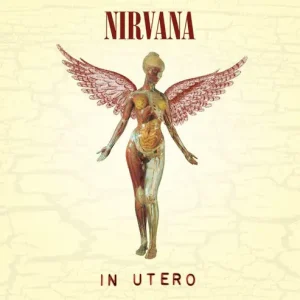 Bulk Order In Utero (180g Black Vinyl)