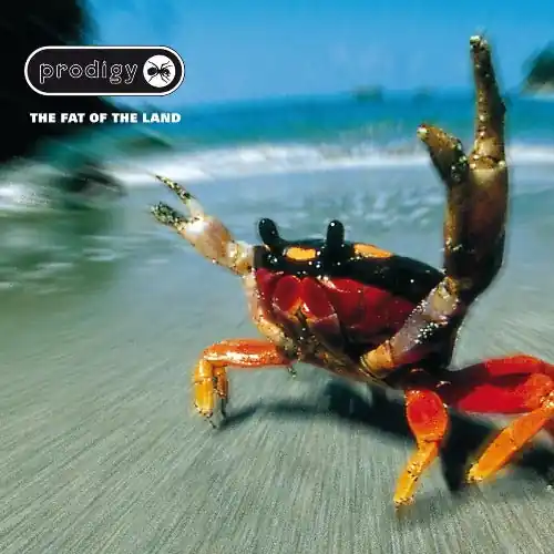 Clearance The Fat of the Land (25th Anniversary Edition / 2LP Silver Vinyl)