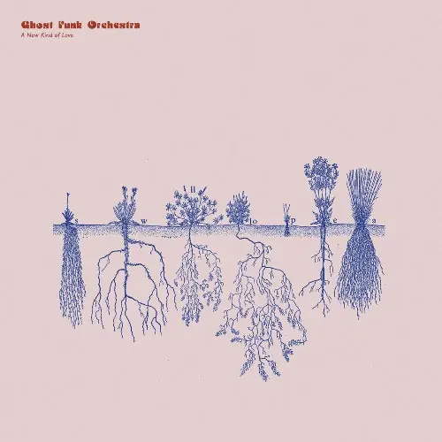 New Arrival A New Kind Of Love (Indie Exclusive Transparent Red Vinyl)
