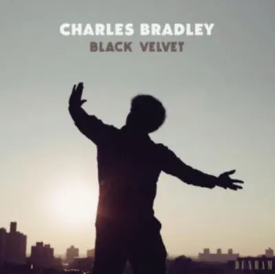 Black Velvet Express Delivery