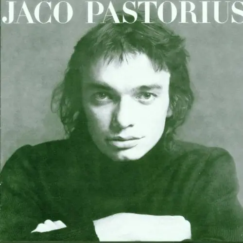 Jaco Pastorius (MOV 180g Audiophile Pressing) Modern