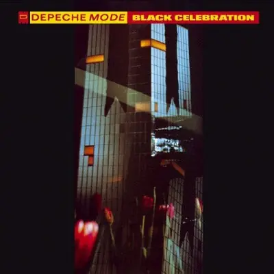 Black Celebration Bulk Order