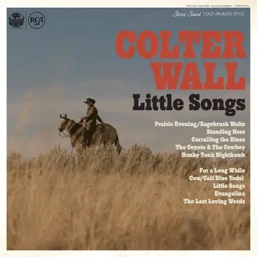 Don’t Miss Out Little Songs (Indie Exclusive Blue Vinyl)