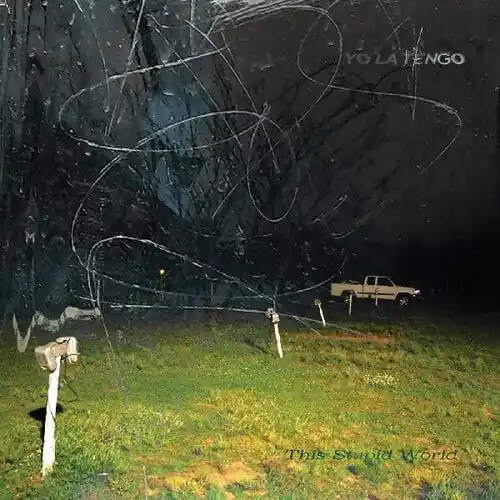 Exclusive This Stupid World (2LP)