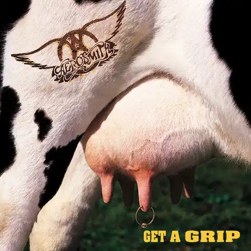 Professional Grade Get a Grip (180g)