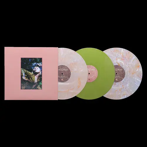 FLOWERS for VASES + Petals for Armor (Indie Exclusive 3LP Pink Marble & Green Vinyl) Place Order