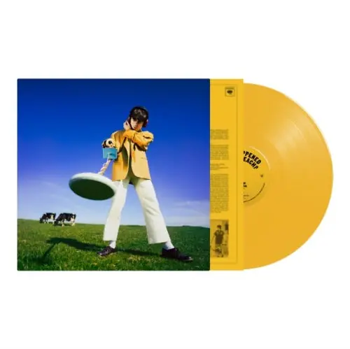 Brand New What Happened To The Beach? (Indie Exclusive Yellow Vinyl)