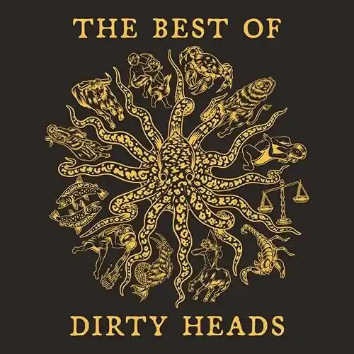 Best Price The Best of Dirty Heads (2LP)