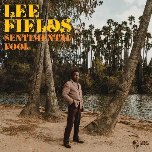 Price Drop Sentimental Fool (Indie Exclusive Orange Vinyl)