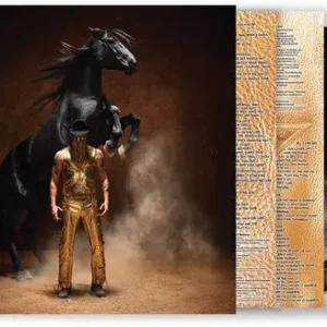 Bronco (2LP) Direct From Factory